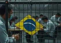 Novo Caged