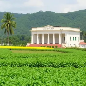 Banco do Nordeste