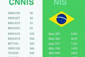 CNIS e NIS é a mesma coisa