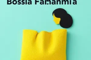 como saber se o bolsa família foi aprovado