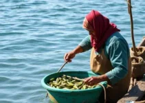 Congresso Regional Trabalho Saudável e Seguro na Pesca Artesanal